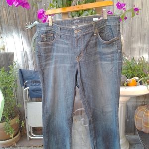 Plus size boot cut jeans